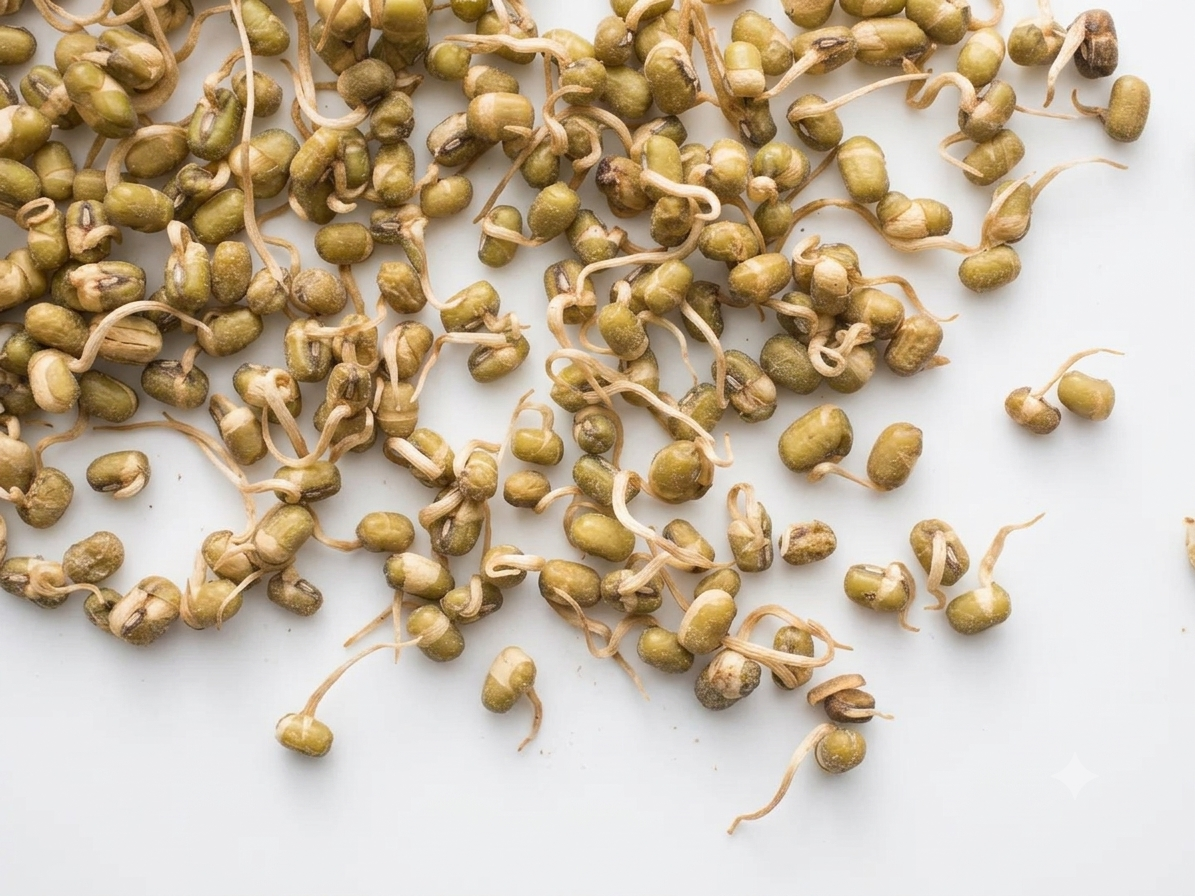 Instant Sprouts Recipes